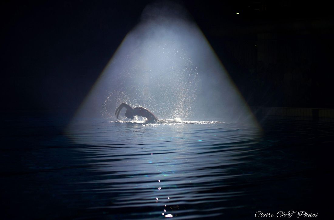 GALA DES 60 ANS D’ANGERS NATATION SYNCHRO
